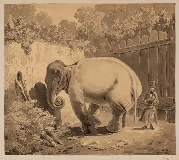 Der Menagerie-Elefant, gezeigt in Genf 1820