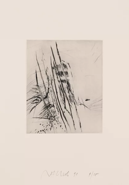 Rolf Iseli — Portfolio. Sechs seismographische Aufzeichnungen, 1998