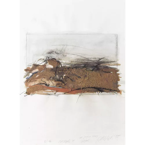 Rolf Iseli — Erdbild.