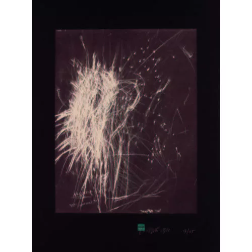Rolf Iseli — "Doppelgänger".