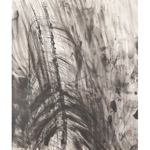 Rolf Iseli — "Röntgenbild".