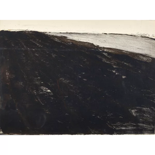 Rolf Iseli — "Erdblatt Grosses Moos".