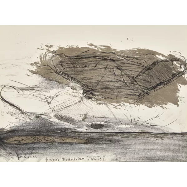 Rolf Iseli — "Fliegende Stockschwümm in formation".