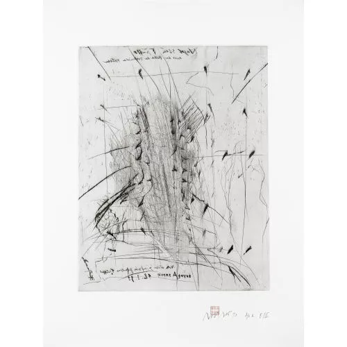 Rolf Iseli — "Homme Agarus".