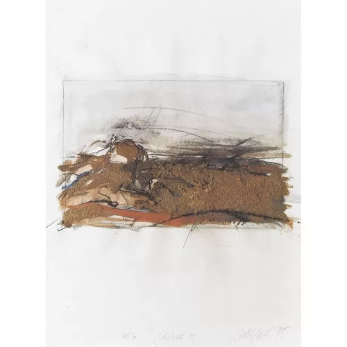 Rolf Iseli — Erdbild.
