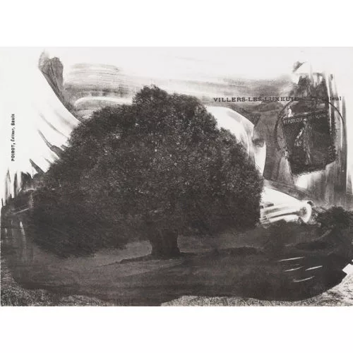 Rolf Iseli — Der Baum.
