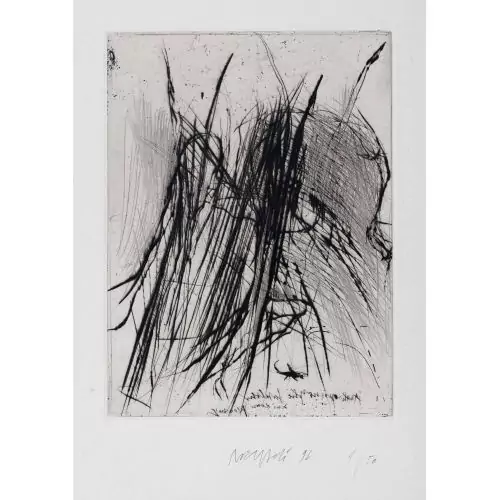 "Anthropomorphe Gestalten"
