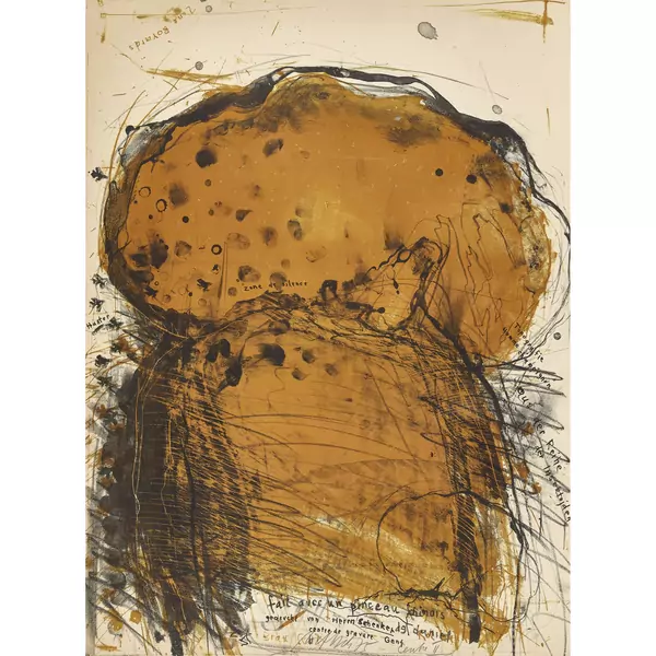 "Topografie homme champignon"