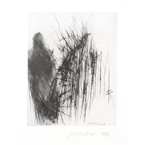 Rolf Iseli — "vorübergehend".