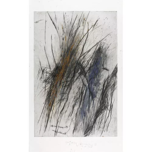 Rolf Iseli — "Rückwärtsfliegen".