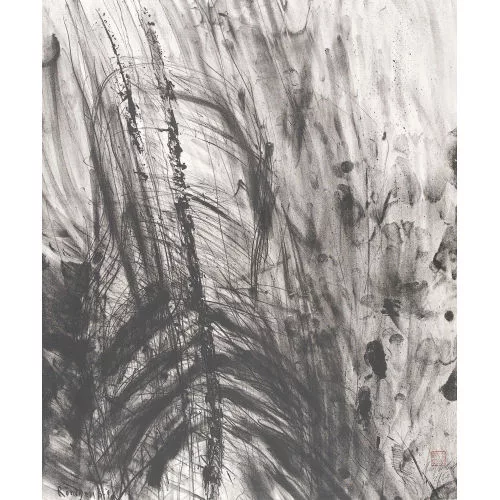 Rolf Iseli — "Röntgenbild".