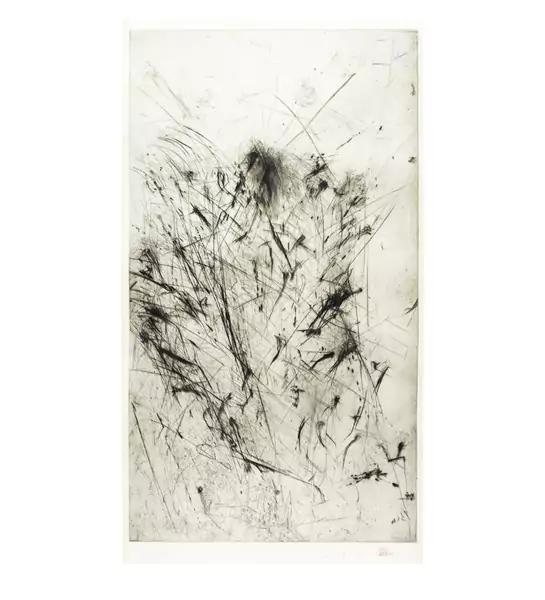 Rolf Iseli — Nagelkopf — Galerie Kornfeld