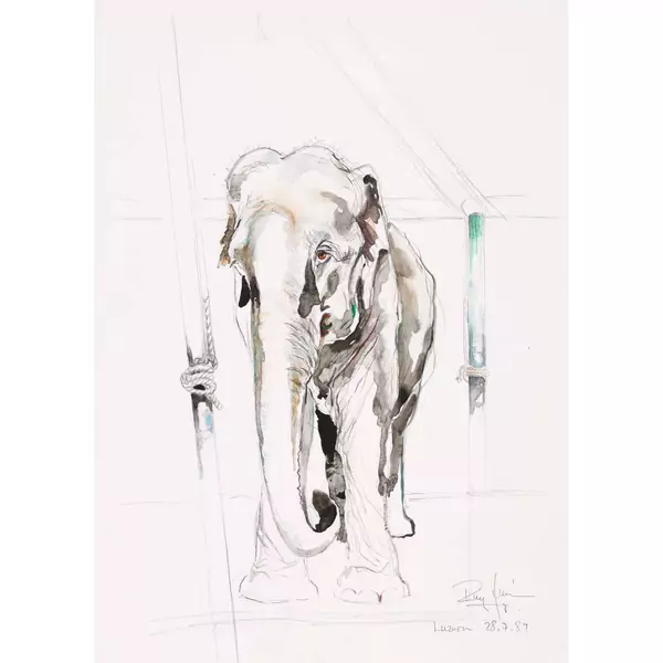 Elefant