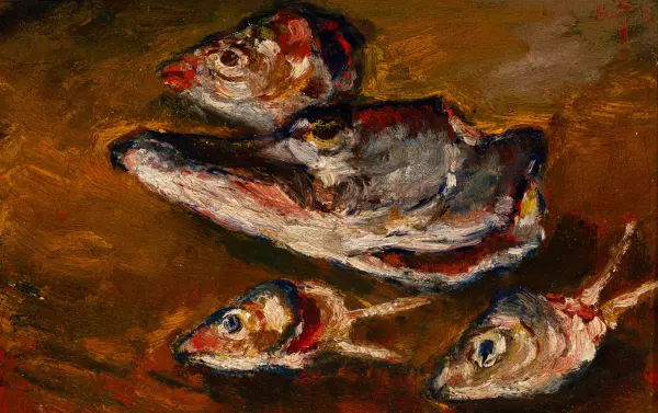 Fischköpfe