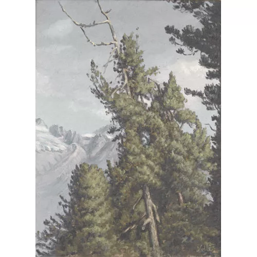 Rolf Vollé — Bergwaldpartie mit vergletscherten Bergen.