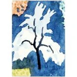 Winterbaum