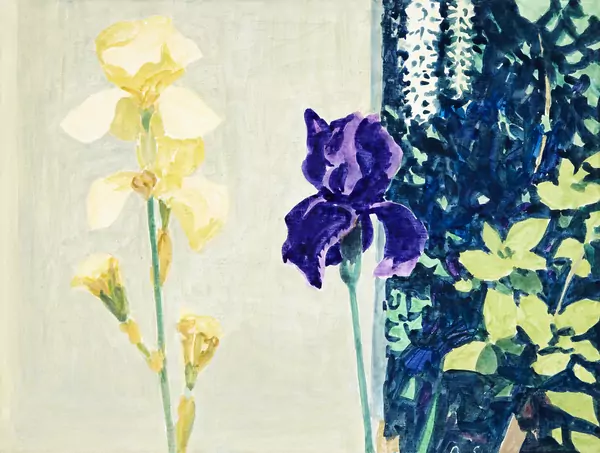 Gelbe und violette Iris im Sommergarten