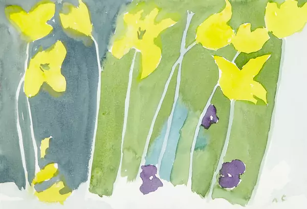 Gelbe Tulpen