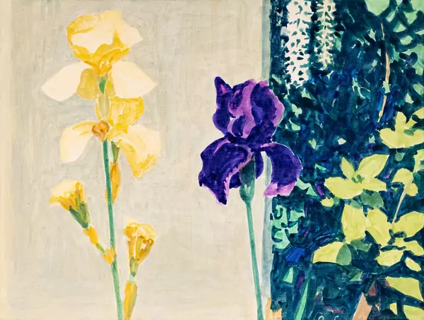 Gelbe und violette Iris im Sommergarten