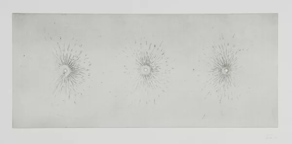 Roman Signer — Explosion von drei auf Kupferplatte montierten Sprengkapseln, 2008