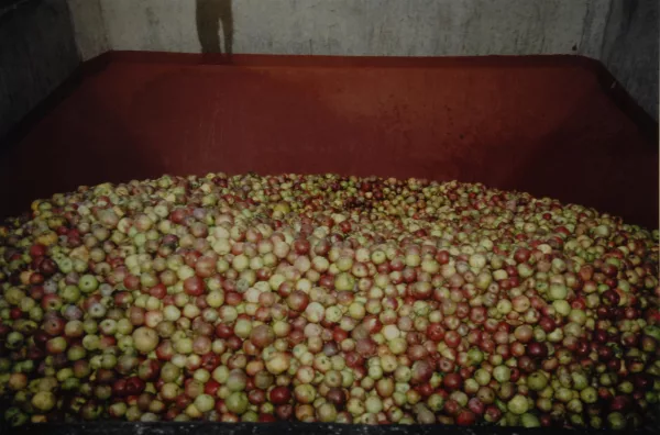 Roman Signer — Äpfel, 1990er Jahre