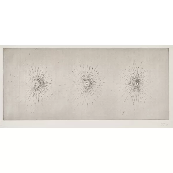 Roman Signer — "Gleichzeitige Explosion von drei Kupferplatten...".