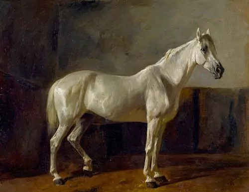 RUDOLF KOLLER — Stehender Schimmel. — Koller Auktionen