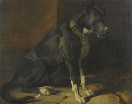 RUDOLF KOLLER — Schwarze Dogge. 1852. — Koller Auktionen