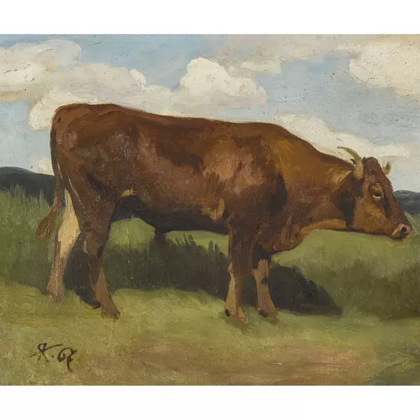 Rind auf der Weide