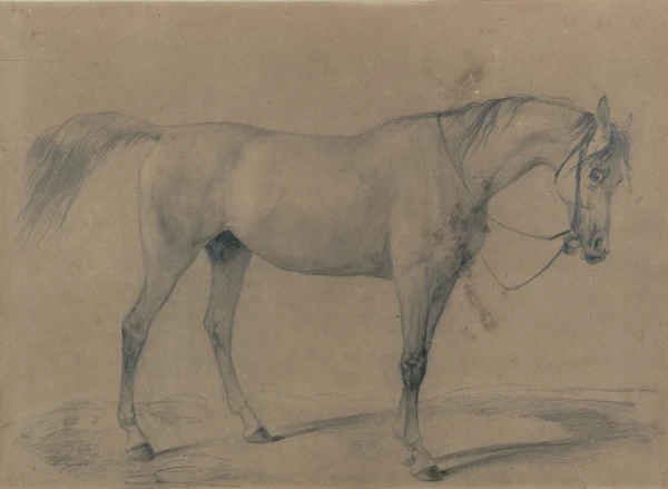 Rudolf Koller — PFERDESTUDIEHORSE STUDY