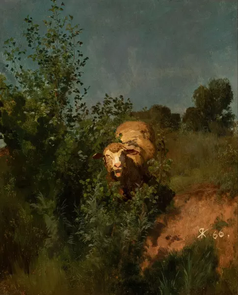 Weidendes Schaf im Gebüsch. 1866