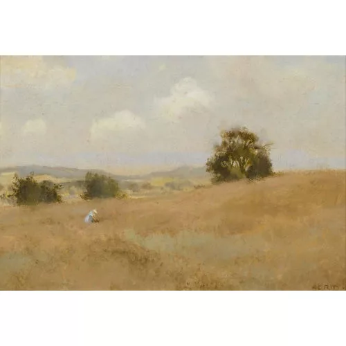 Rudolf Müller — "Juni-Wiese bei Seedorf".