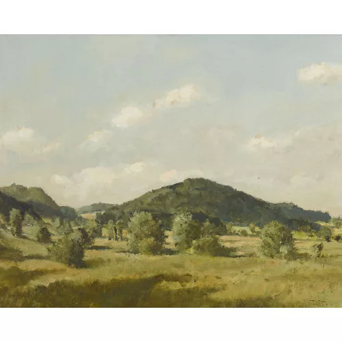 Rudolf Müller — Weite sommerliche Landschaft.