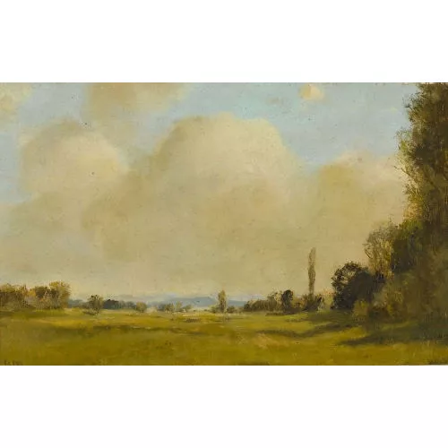 Rudolf Müller — Sonniger Waldrand.