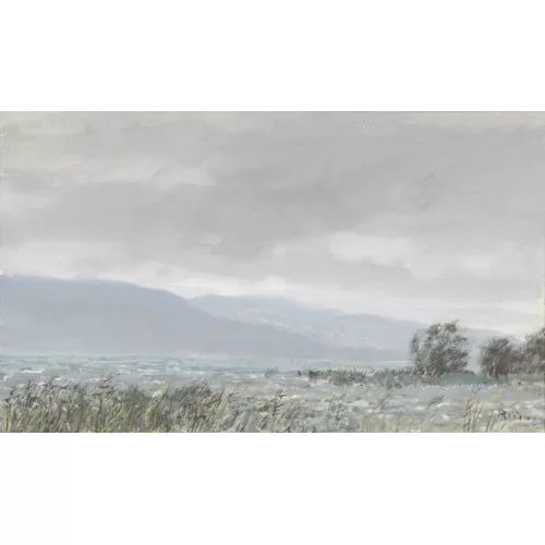 Rudolf Müller — "Trüber Tag, Neuenburgersee Estavayer".
