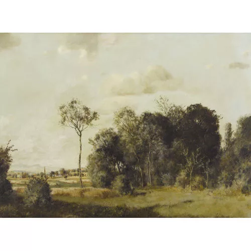 Rudolf Müller — Sommerliche Landschaft am Waldrand.