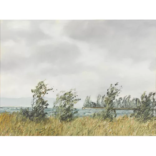 Rudolf Müller — "Westwind, Bielersee Lattrigen".