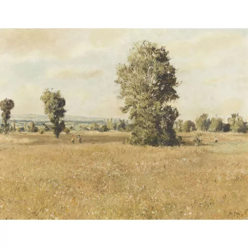 Rudolf Müller — Weite sommerliche Wiesenlandschaft.