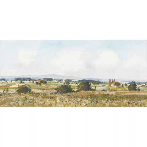 Rudolf Müller — Sonnige Feldlandschaft.