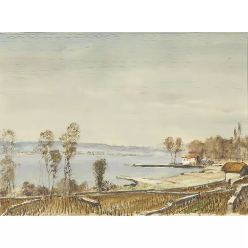 Rudolf Müller — Seeuferpartie mit Reben.