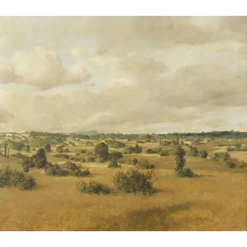 Rudolf Müller — "Les Marais de Margencel".