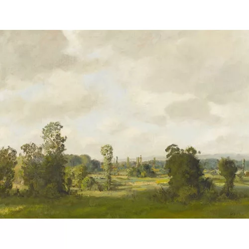 Rudolf Müller — Weite Landschaft mit Bäumen.