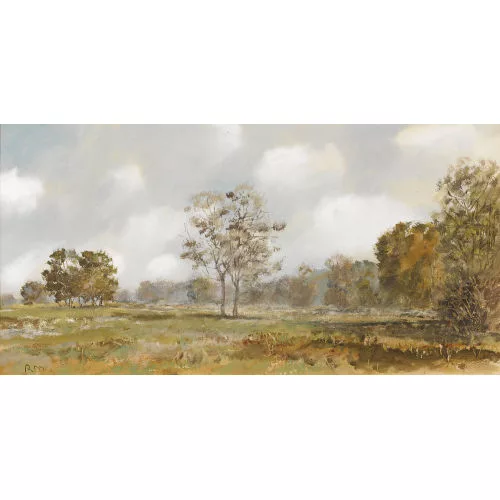 Rudolf Müller — Weite Feldlandschaft.