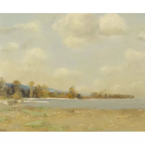 Rudolf Müller — Sonnige Seeuferpartie.