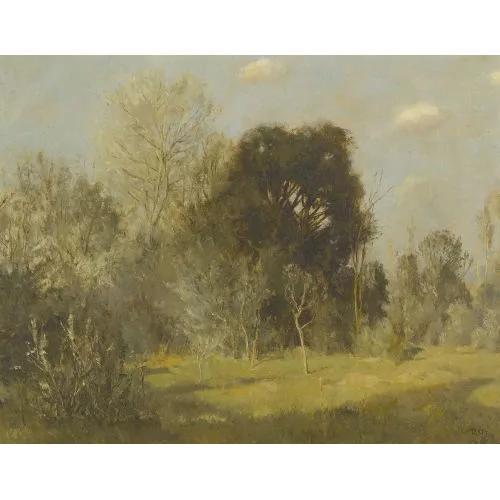 Rudolf Müller — Sonniger Waldrand.