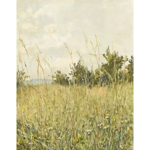 Rudolf Müller — "Sommerwiese".