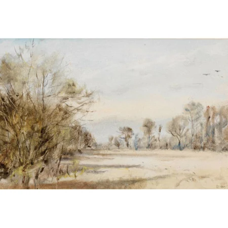 Auenlandschaft