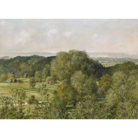 Sommerlandschaft
