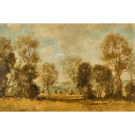 Landschaft mit Wiese und Bäumen