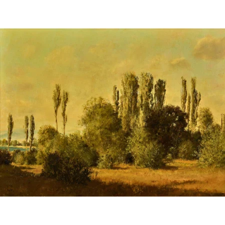Baumlandschaft am Seeufer
